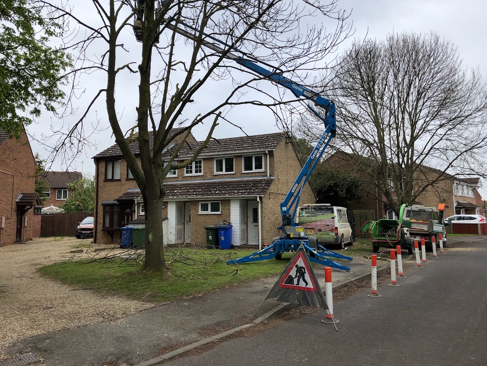 Genie TZ- 34:20 Cherry Picker